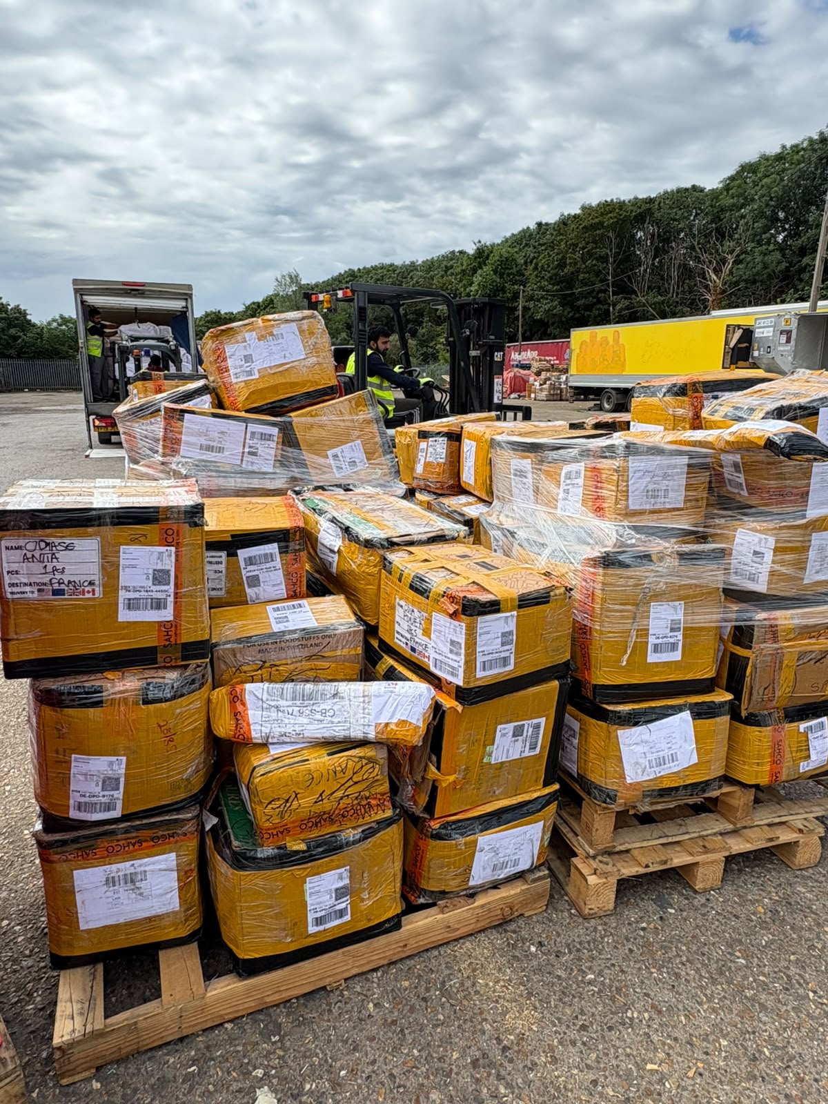 Shipped cargo carton 10